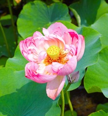 DP3M8533_