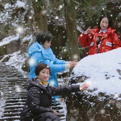 A01F3A67-3A09-4026-8D8D-E9194C0AEC50/L0/001