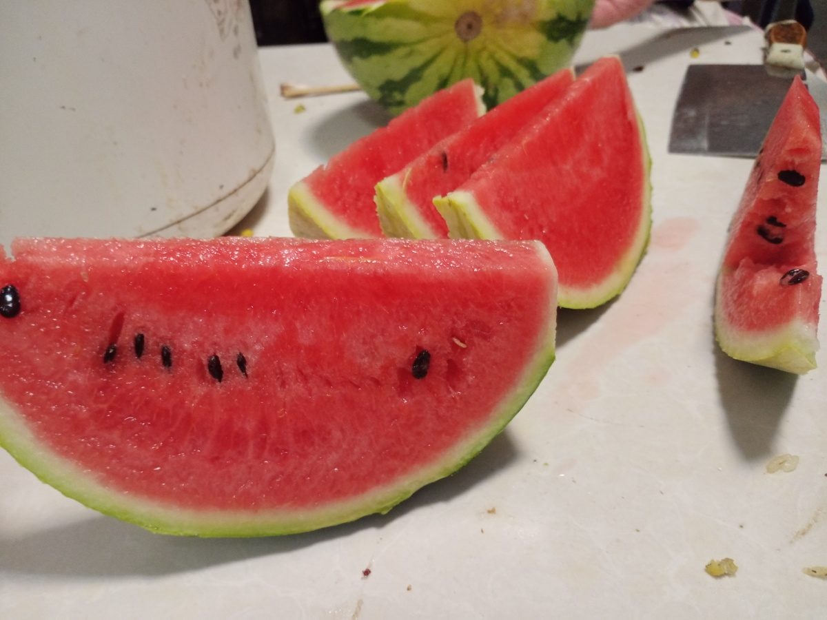 西瓜小时候两毛一斤山东大西瓜