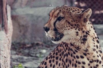 93477