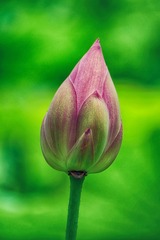 100701