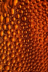 93F7F7AB-B3E1-4EA5-A040-ED7DAA7E0372/L0/001