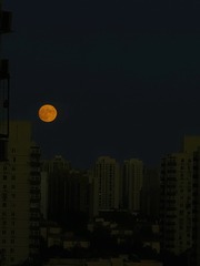 4E6351D5-E35D-4967-BD62-8DF929FCB49C/L0/001