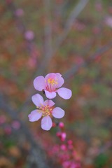 520847A7-FFB7-41DB-A2D8-58910F3191A7/L0/001
