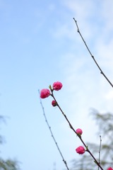 9B86E8D8-9107-4EC2-9733-2B1EAC33A3E8/L0/001