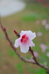 9B917F82-4482-4FF6-9A6C-4FDDA6BEE653/L0/001
