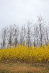 954A4D2B-33C1-47A5-BC16-A109149CAE74/L0/001