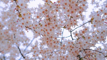 E7DB7ECE-3FCF-4370-B45C-5C1B83E3714C/L0/001