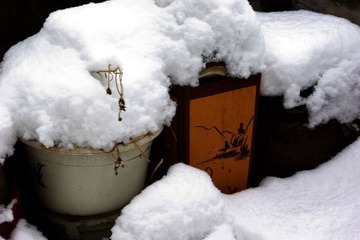 雪
