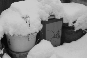 雪（黑白）