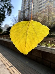 B5677894-F26B-4C67-B336-E70799671D56/L0/001