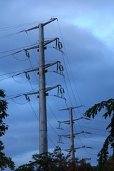 355592