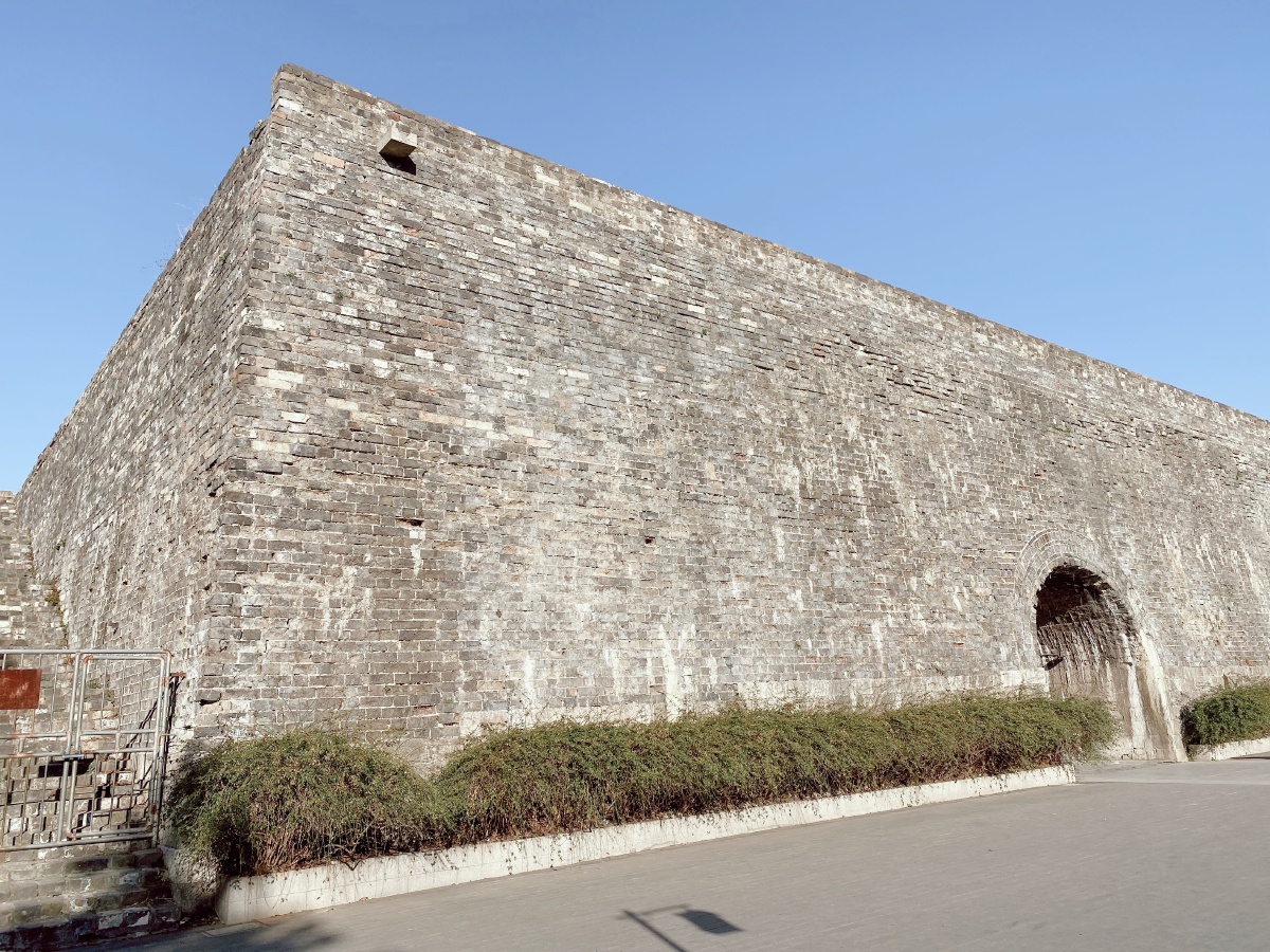 汉中门城墙松树古樟蓝天太极安好