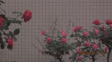 D3CE8E5D-8EBE-466F-8E1C-265EA524986A/L0/001