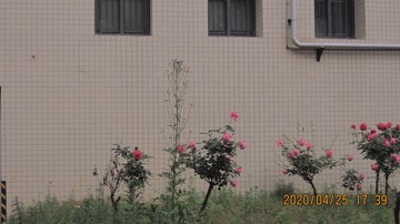 E5608091-9DE7-4D8C-844B-A73550C45B84/L0/001