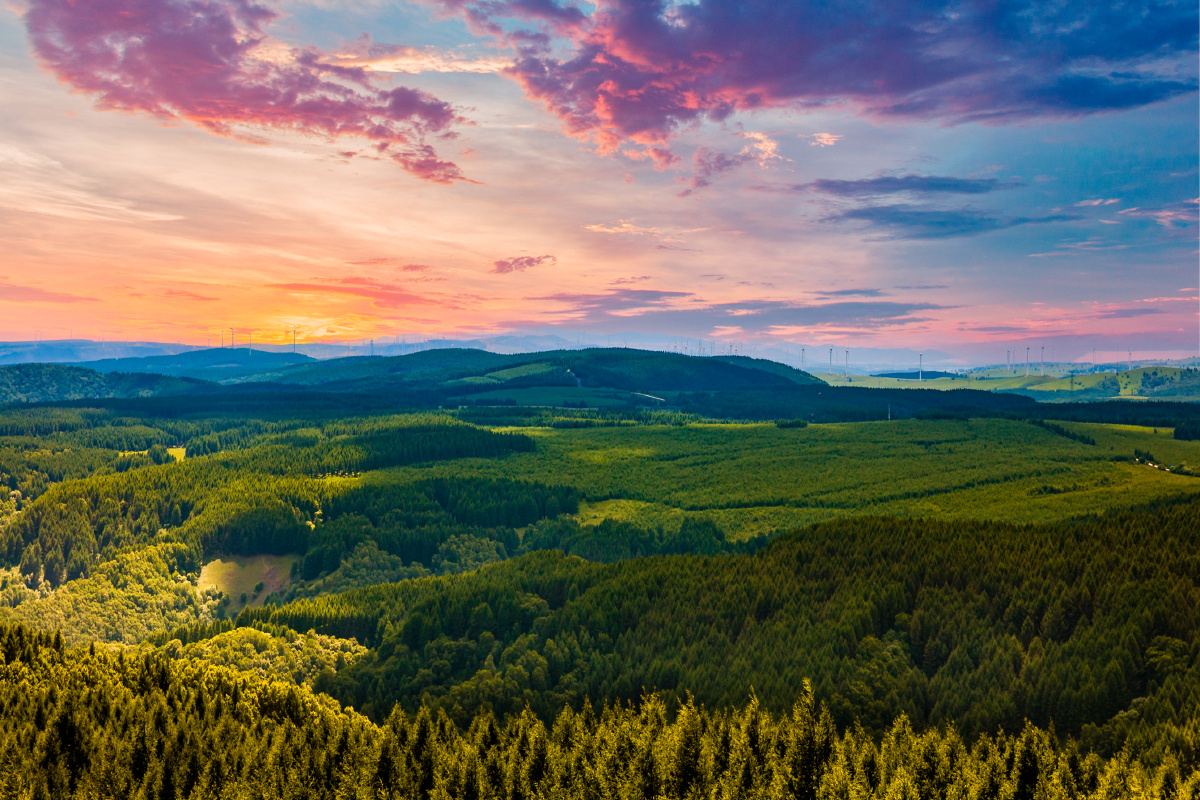 夕阳下的塞罕坝风光