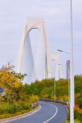 FE815956-64EA-483B-B1B6-3CC6FACD2797/L0/001