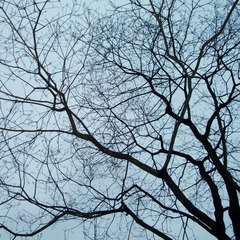 B2D7271E-22A6-48EB-82F9-A2D66E4022C4/L0/001