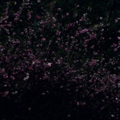 A5231555-F214-40ED-8615-E9BF7314590D/L0/001