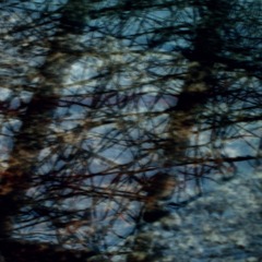 C9FCA347-C971-4386-93F9-111D8360E166/L0/001