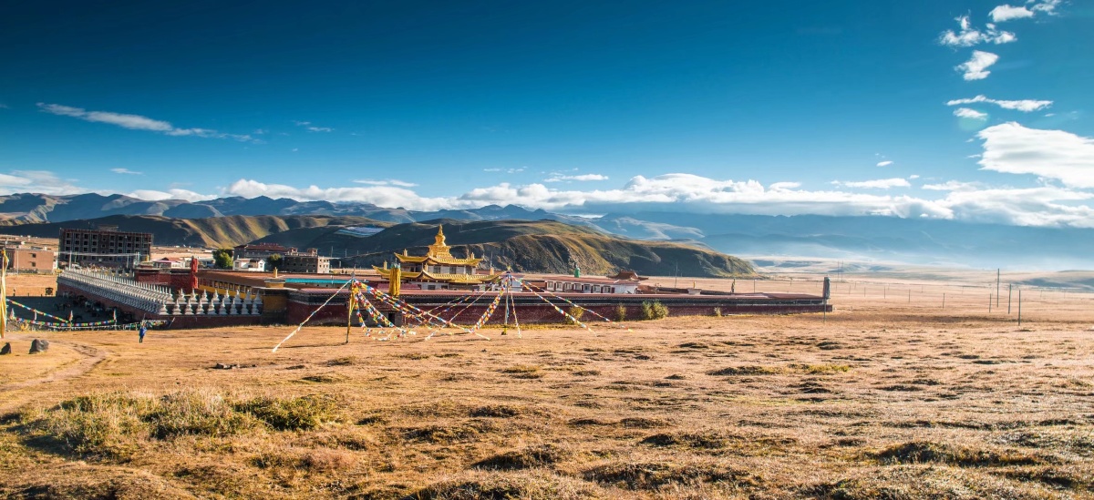 西部地区的自然风景