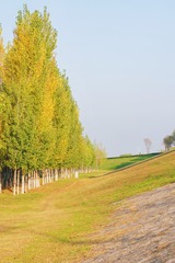9C8BB6A8-9740-4AAC-B695-C945FBC66DBD/L0/001