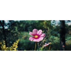 B99C1221-5D0B-4EF3-9888-0A01A03E0641/L0/001