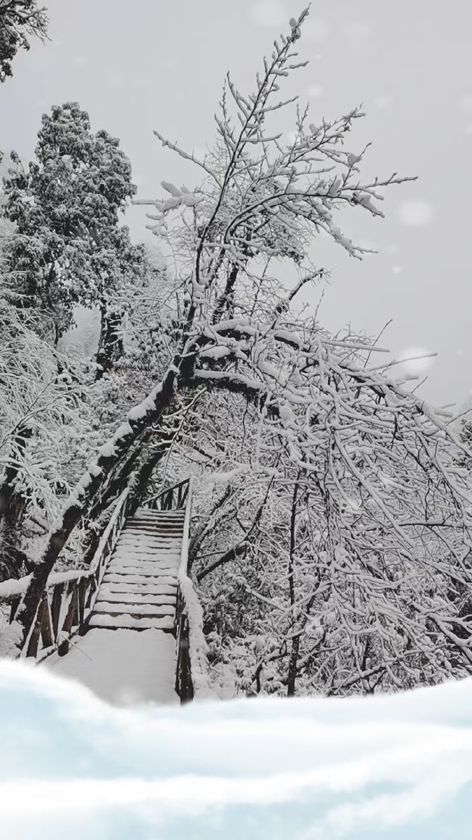 雪静雪花白白茫茫一尘不染67676767