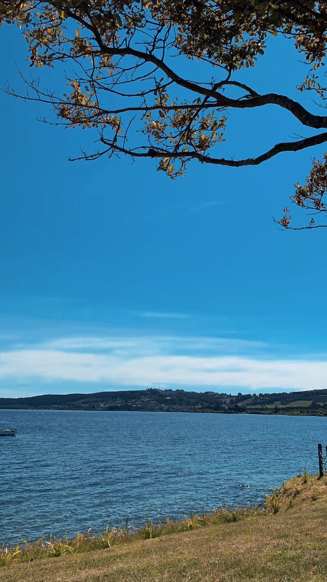 人间绝色陶波湖