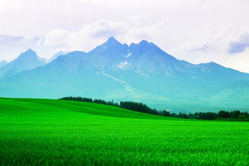 17365