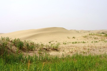 IMGP4607