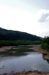 IMGP0527