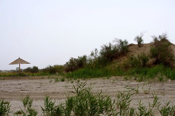 IMGP4712