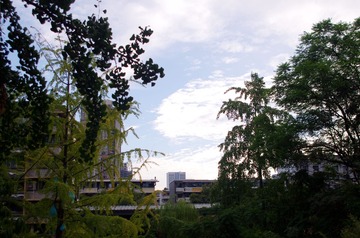 IMGP0625