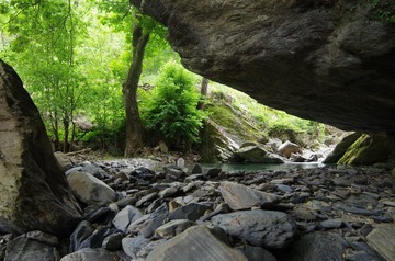 IMGP0793