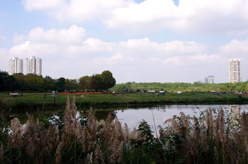 IMGP2243