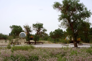 IMGP4709