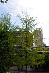 IMGP0626