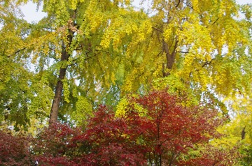 IMGP2463