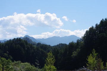 IMGP6636
