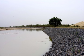 IMGP4663