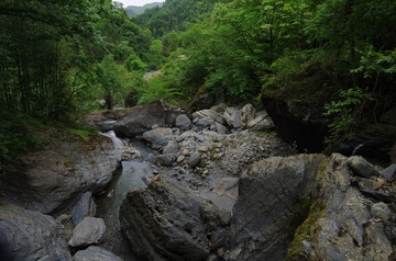 IMGP0789
