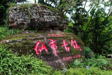 IMGP4057