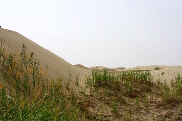 IMGP4608