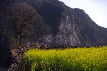 IMGP0944