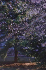 DF06600A-D50A-49F3-AB1D-8E75DBF90C55/L0/001