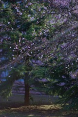 DF06600A-D50A-49F3-AB1D-8E75DBF90C55/L0/001