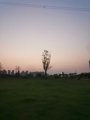 126017