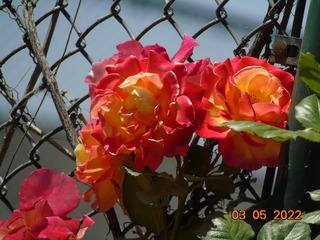 5250A5DF-FE2A-4165-9922-F2A4571141A6/L0/001
