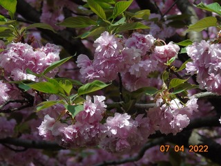 75C7E582-931B-478F-847C-002DAFAE4EF5/L0/001
